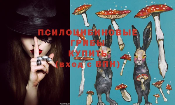герыч Алексин