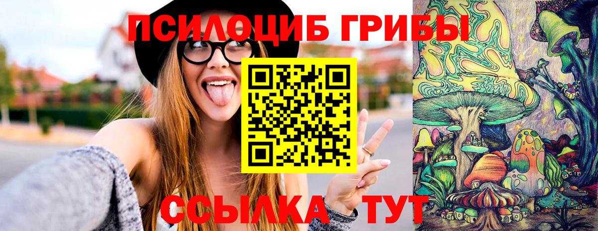 Южно-Сахалинск  Псилоцибиновые грибы прущие грибы  цены наркотик  Вход с VPN 